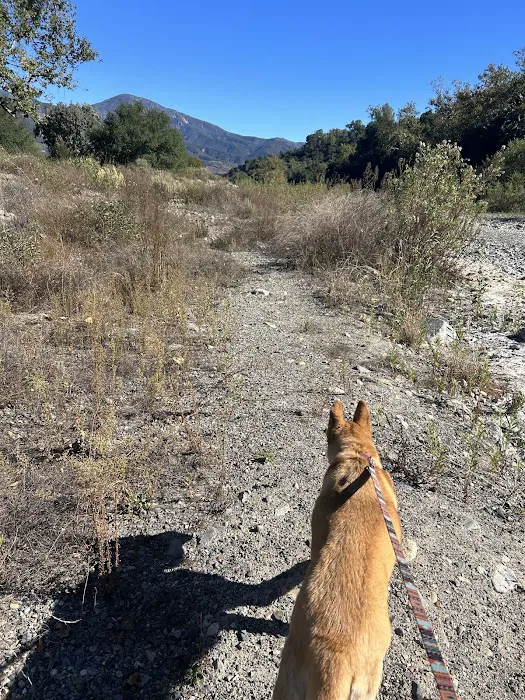 Arroyo Campground Picture 5