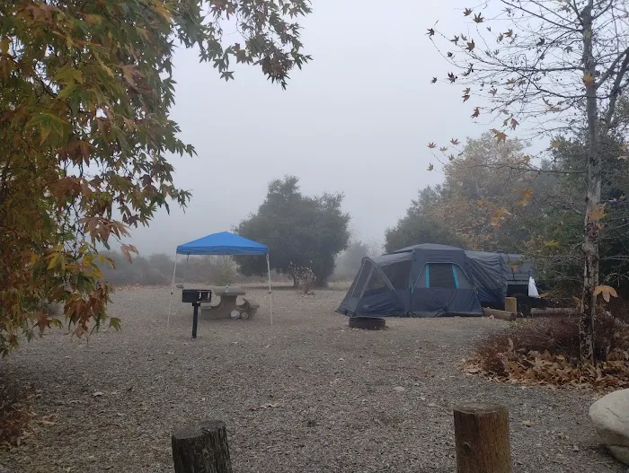 Campsite #63 Picture 6