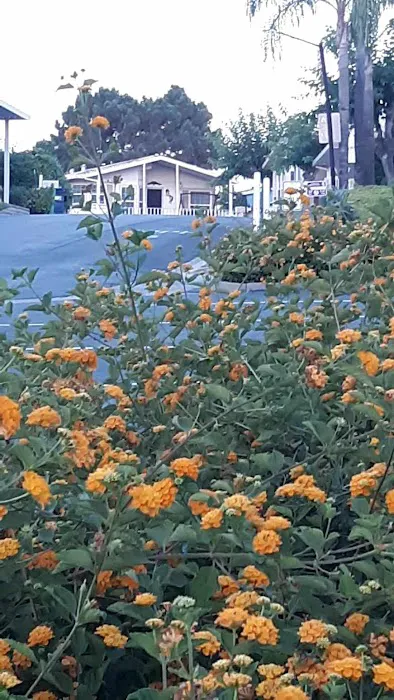 Rancho Escondido Picture 4