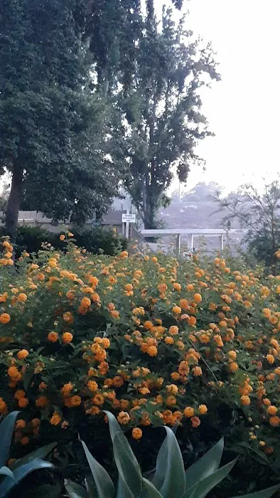 Rancho Escondido Picture 10
