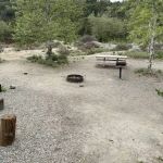Campsite #59