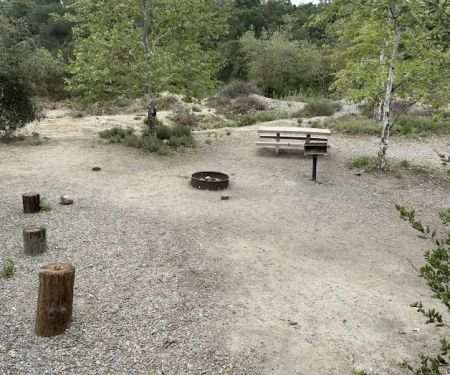 Campsite #59