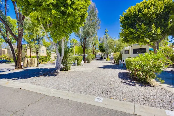 Circle RV Resort Picture 1