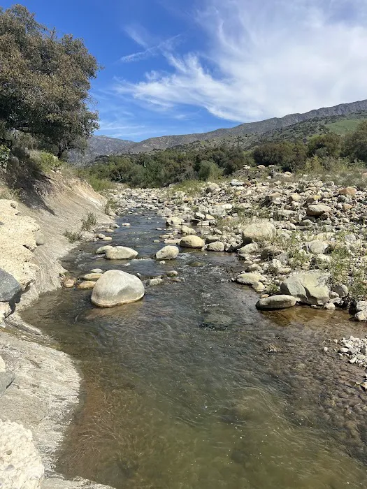 Big Cone Campground Picture 6