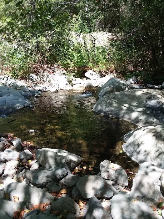 Big Cone Campground Picture 4