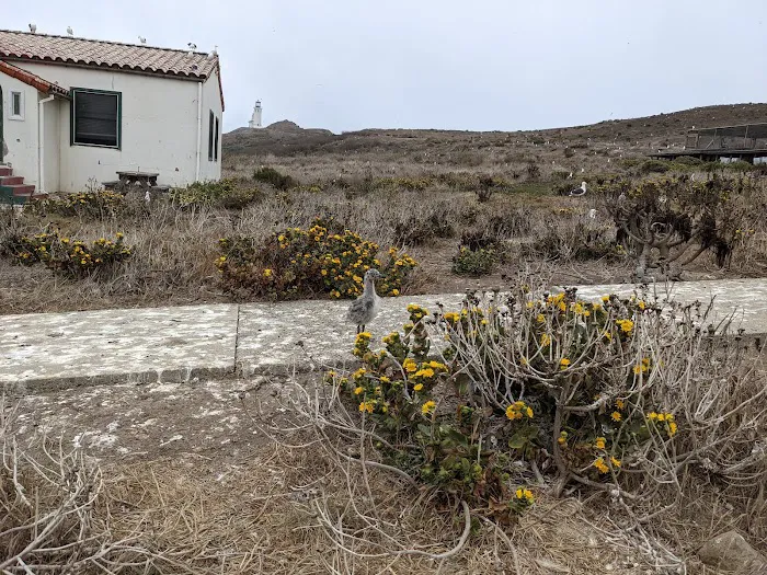 East Anacapa Island Landing Cove Picture 1