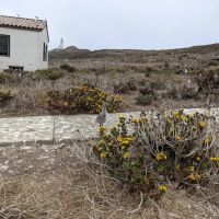 East Anacapa Island Landing Cove ico