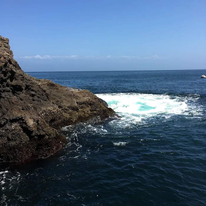East Anacapa Island Landing Cove Picture 5