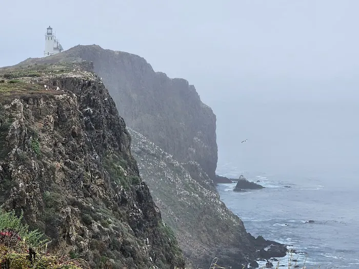 East Anacapa Island Landing Cove Picture 8