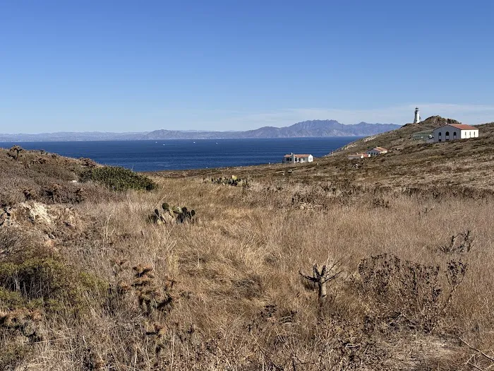 Anacapa Island Campground Picture 1