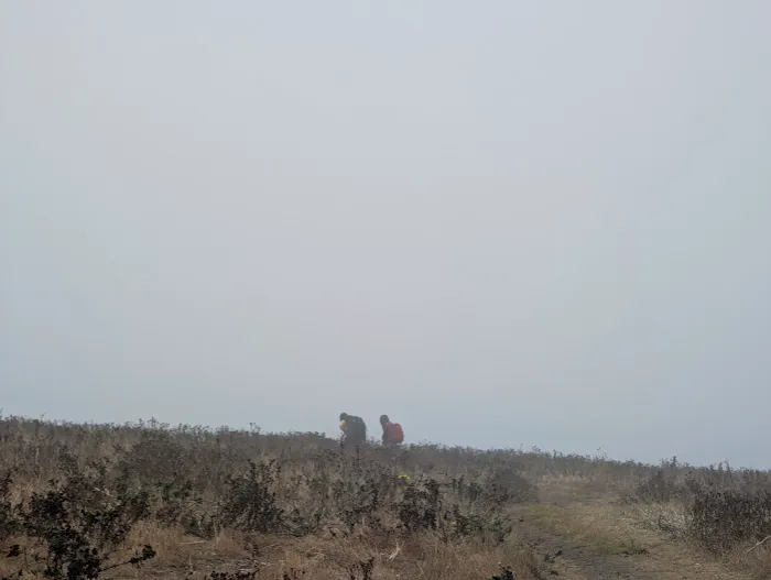 Anacapa Island Campground Picture 6