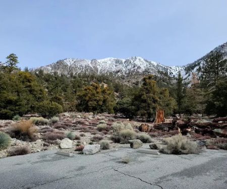 Deer Flats Group Campground