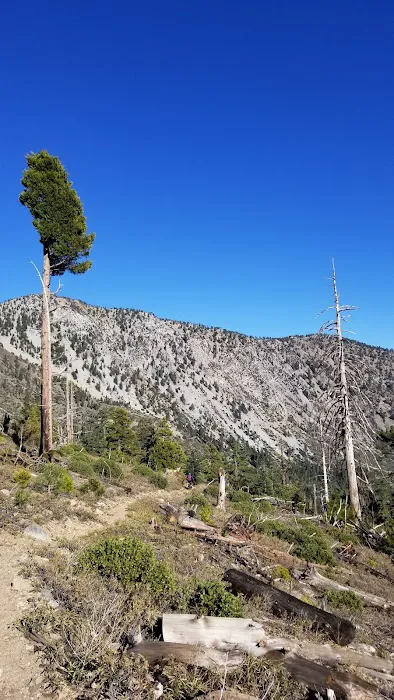Deer Flats Group Campground Picture 5