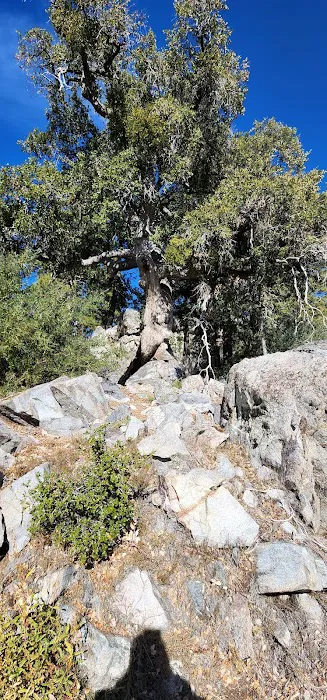 Deer Flats Group Campground Picture 9
