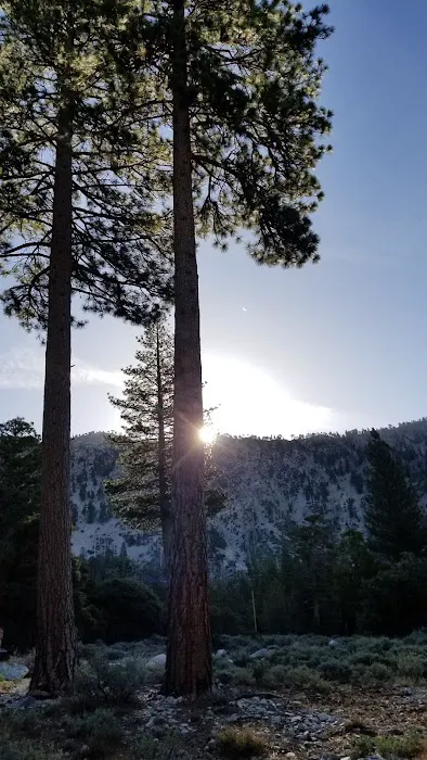 Deer Flats Group Campground Picture 7