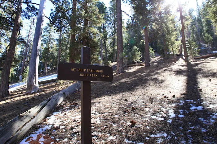 Little Jimmy Trail Camp Picture 6