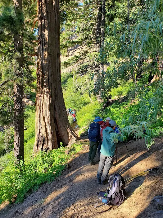 Little Jimmy Trail Camp Picture 9