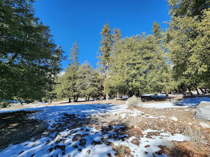 Crystal Lake Camp Grounds Picture 6