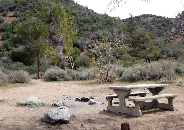 Southfork Campground Picture 3