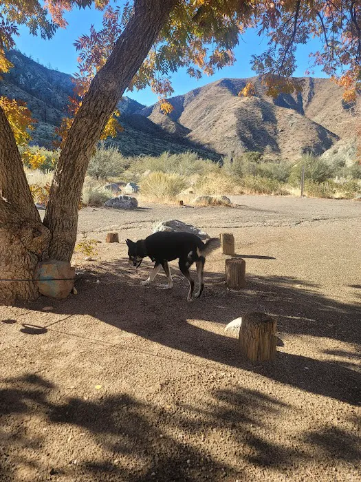 Southfork Campground Picture 9
