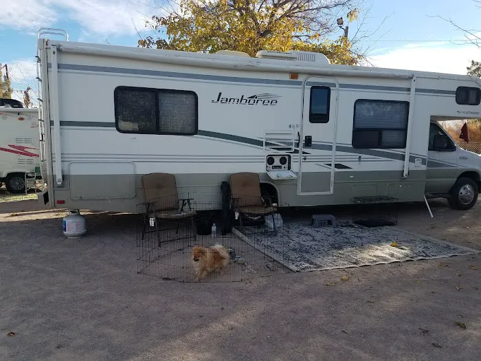 Siesta RV Park Picture 6