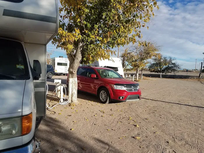 Siesta RV Park Picture 9
