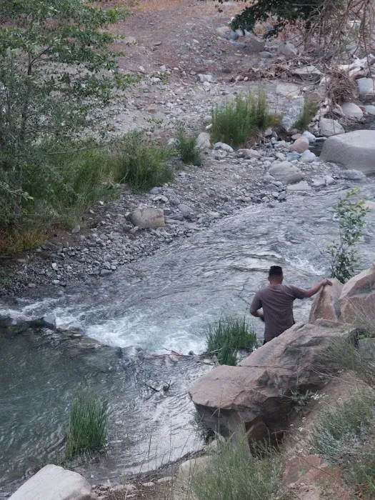 Sycamore Flat Campground Picture 1