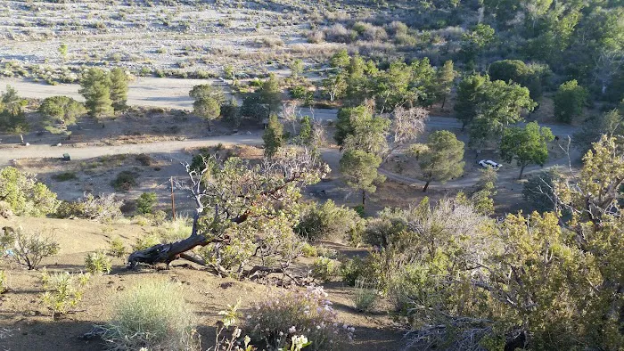 Sycamore Flat Campground Picture 2