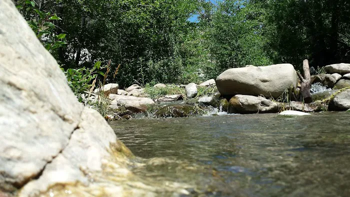 Sycamore Flat Campground Picture 10