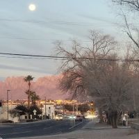 El Patio ico