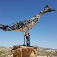 Trails West ico