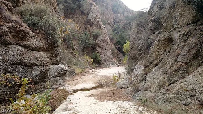 Cienega Campground Picture 2