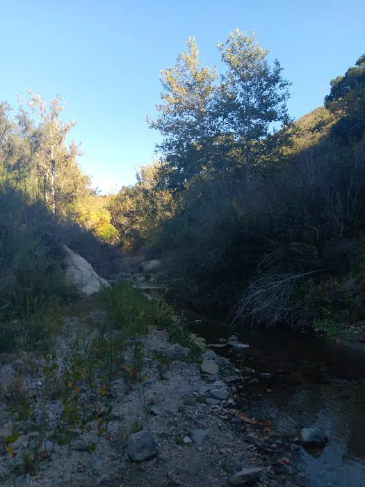 Cienega Campground Picture 4