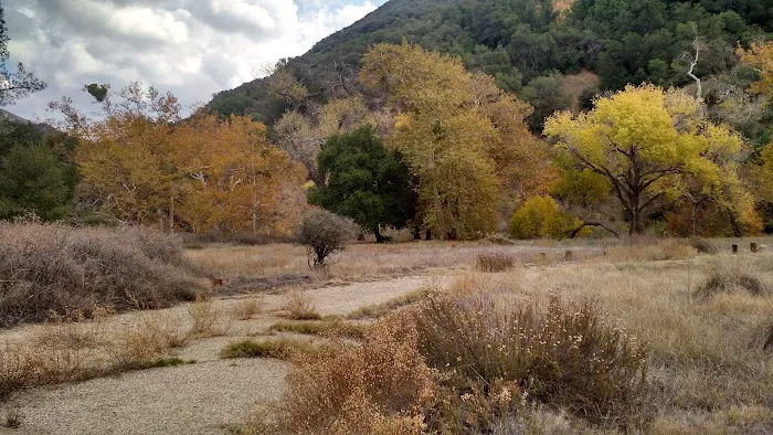 Cienega Campground Picture 5