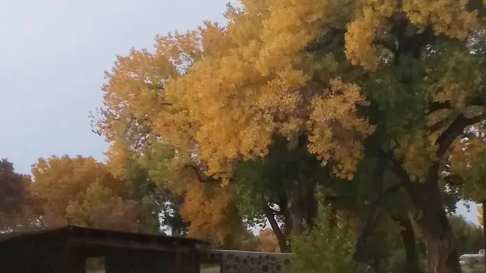 Cottonwood RV Park Picture 2