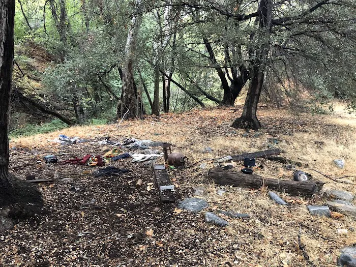 Lion trail camp Picture 1