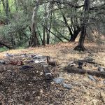 Lion trail camp