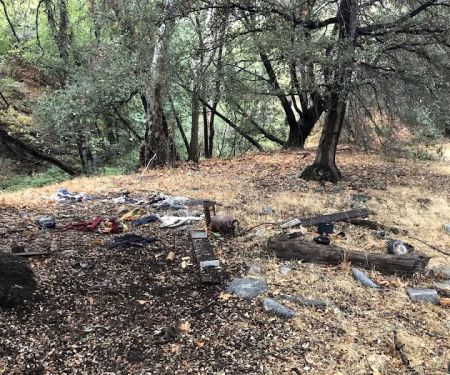 Lion trail camp