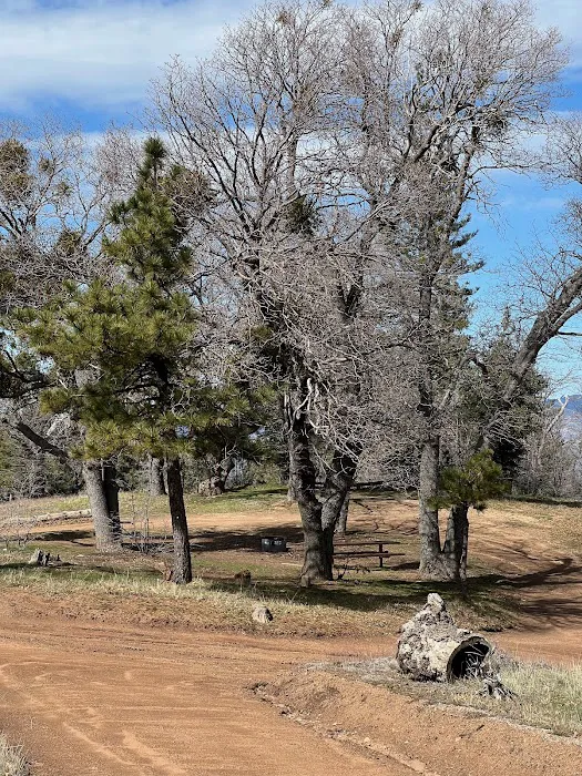 Sawmill Campground Picture 1