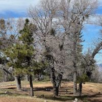 Sawmill Campground ico