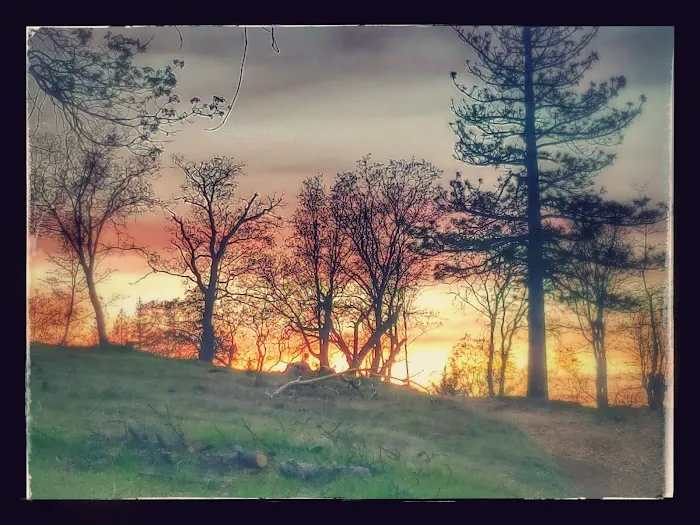 Sawmill Campground Picture 5