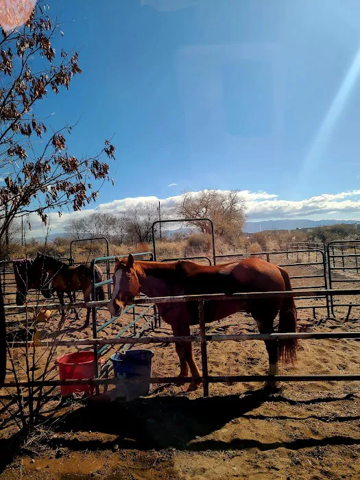 Hacienda de las Flores RV Park Picture 5