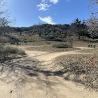 Bear Campground ico