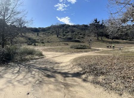 Bear Campground