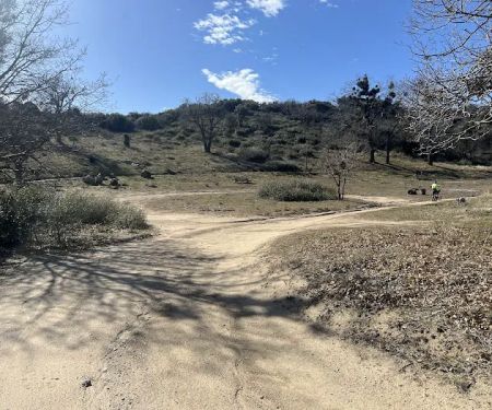 Bear Campground