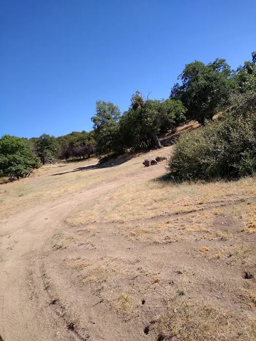 Bear Campground Picture 8