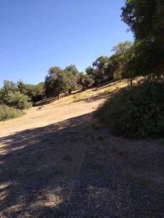 Bear Campground Picture 10
