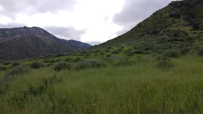 Sespe Camp Picture 1