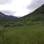 Sespe Camp