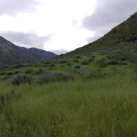 Sespe Camp ico